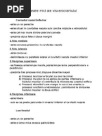 Oasele Mici Ale Viscerocraniului