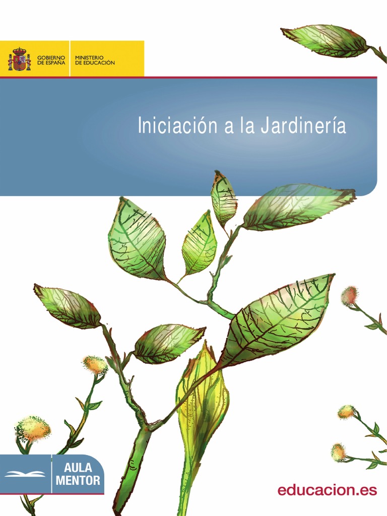 Iniciacion a La Jardineria | Raíz | Plantas