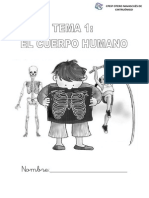 El Cuerpo humano