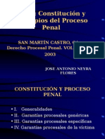 Constitucion y Principios Del Proceso Penal