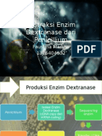 Ekstraksi Enzim Dextranase Dari Penicillium