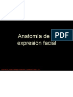Anatomía de La Expresión Facial