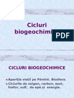 Cicluri Biogeochimice