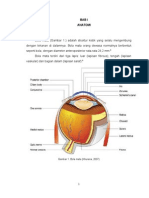 Isi Referat Anatomi Fisiologi Mata