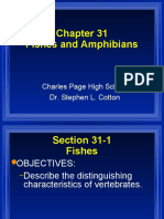 Fishes and Amphibians: Charles Page High School Dr. Stephen L. Cotton