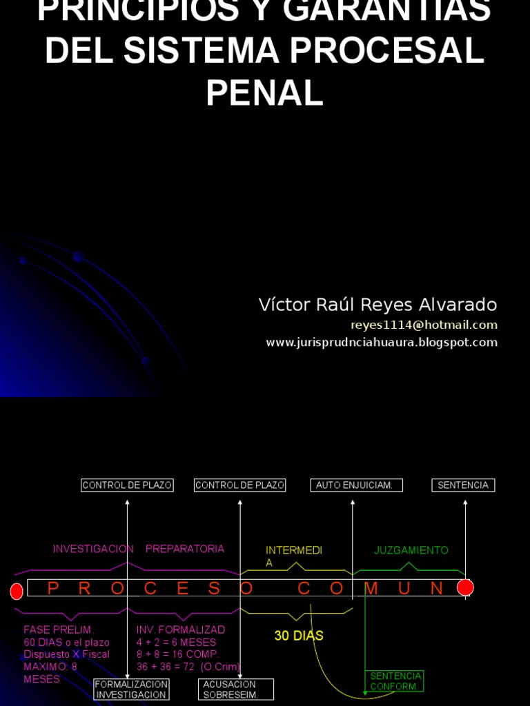 Principios y Garantias Del Sistema Procesal Penal | PDF | Derecho penal ...