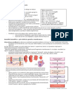 Anemii Hemostaza Recapitulare