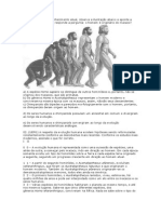 EVOLUÇÃO HUMANA.docx