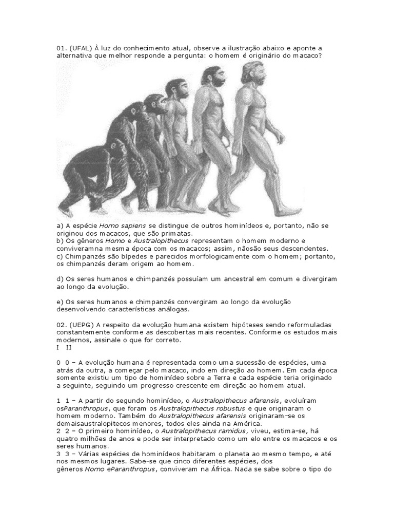 Evolução Humana | PDF | Homo | Homo Sapiens