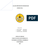 Siklooksigenase Inhibitor