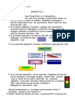 Subiect1 PPT Liceu Cip2011