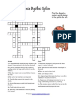 Find The Digestive System Words Below in The Grid To The Left