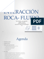 Interacción Roca - Fluido