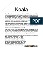 Report Text About Koala