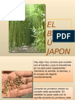 El Bambu Japones-33685