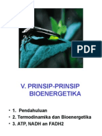 Bioenergetika