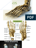 Anatomia Huesos Del Pie