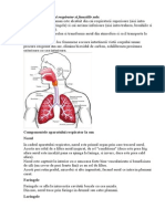 Anatomia Aparatului Respirator Si Functiile Sale