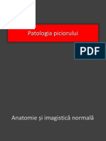 Patologia Piciorului PDF