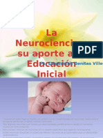 La Neurociencia y Su Aporte A La Educacion Inicial