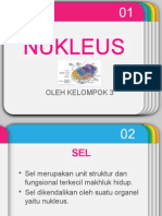 Nukleus kelompok 3