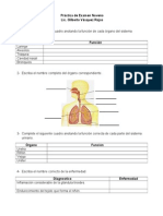 Práctica de Examen Noveno