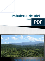 Palmierul de Ulei