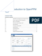 Introduction to Openppm