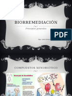 S12. Biorremediacion Microbiana