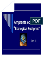 Curs12 - Amprenta Ecologica