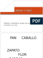 Palabras y Raíz