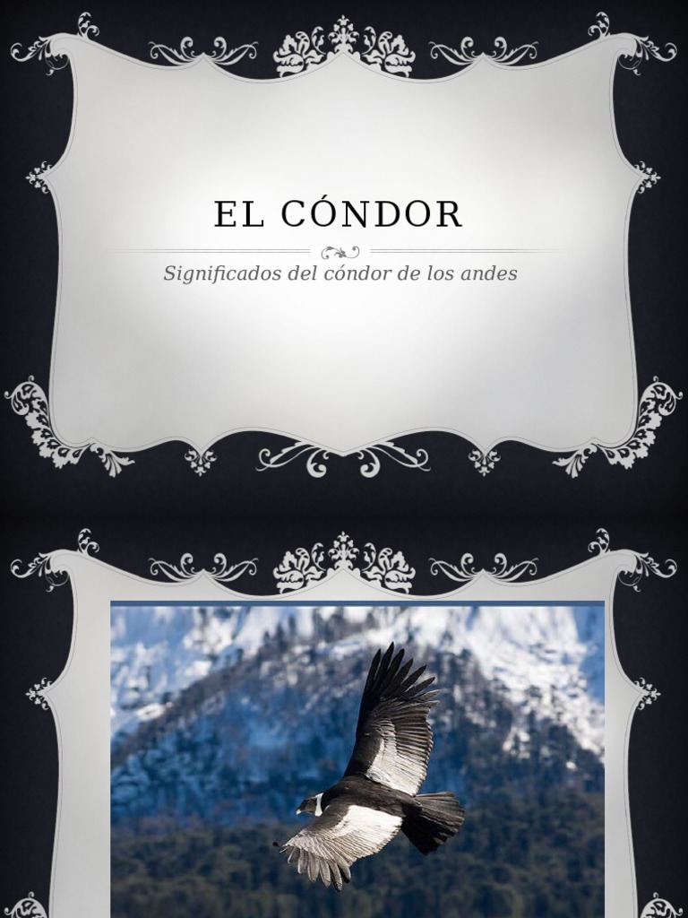 Hábitos y simbolismo del cóndor andino | PDF | Imperio Inca | Aves