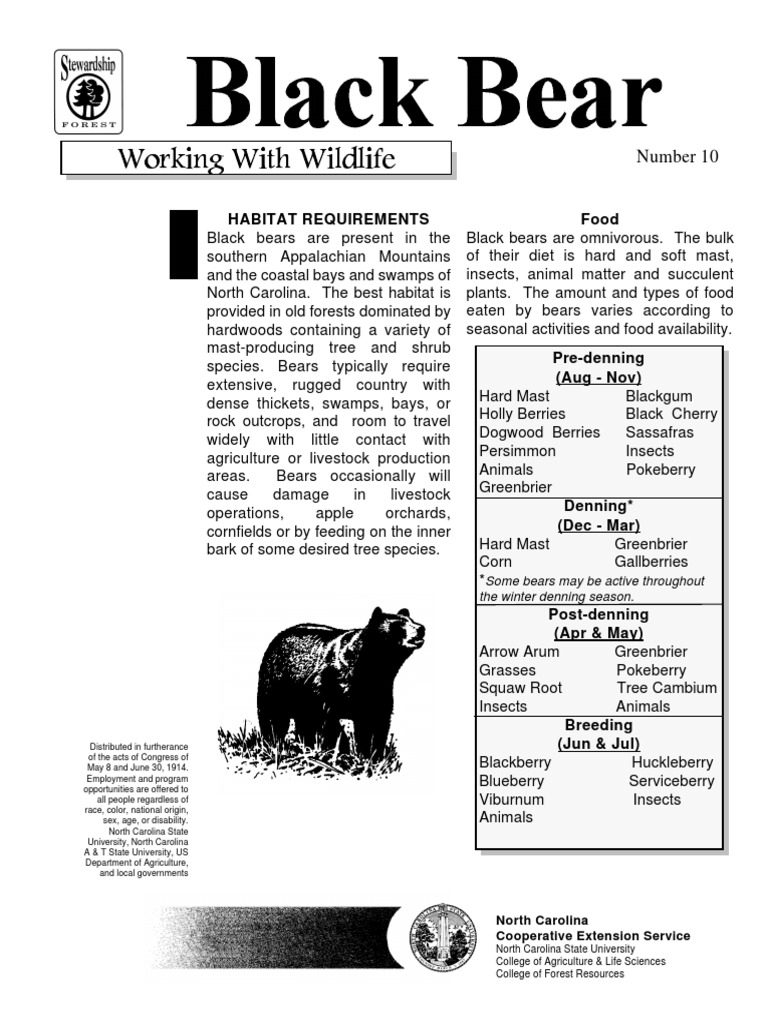 Habitat Requirements Food Number 10 PDF Trees Bears