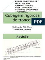 Cubagem Rigorosa de Troncos