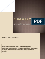 Boala Lyme