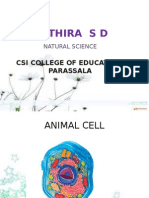Athira S D: Csi College of Education Parassala