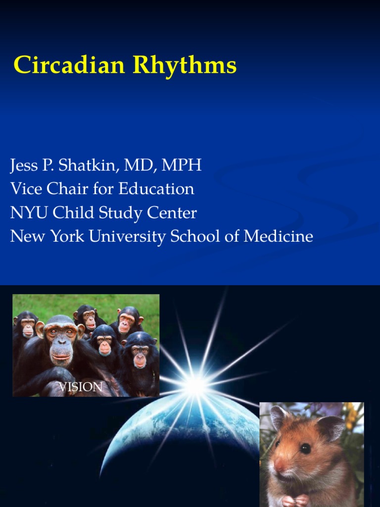Understanding Circadian Rhythms and Sleep | PDF | Circadian Rhythm | Sleep