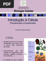 2.Introdução à Célula