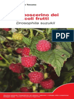 Moscerino Piccoli Frutti