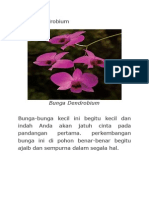 Bunga Dendrobium