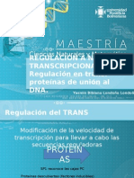 Regulación a nivel transcripcional.pptx