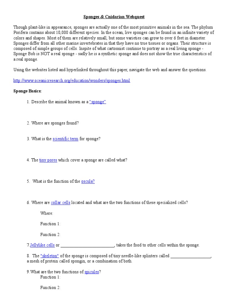 Sponge and Cnidaria quest PDF Sponge Animal Taxonomy