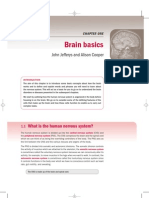 Brain Basics: John Jefferys and Alison Cooper