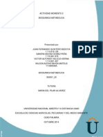 ACT MOMENTO 2 BIOQUIMICA METABOLICA CONSOLIDADO.pdf