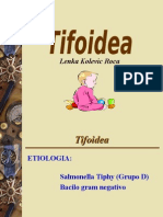 Tifoidea