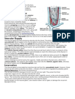 The Thyroid Gland is an Endocrine Structure