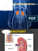 GLOMERULONEPHRITIS.pptx [Autosaved]