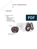 Anatomi Lapisan Scrotum dan Limfatik Testis.docx