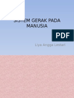 Sistem Gerak Pada Manusia