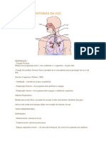 Bases Respiratórias Da Voz